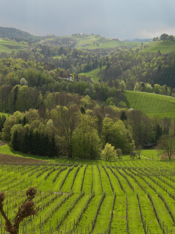 Weingut Skoff Original Hotell Gamlitz Eksteriør bilde